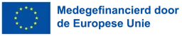 Medegefinancierd door de Europese Unie